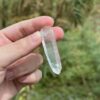 Lemurian-COLM-2504-8